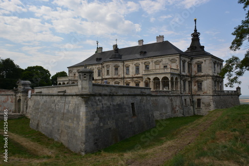 Fototapeta Naklejka Na Ścianę i Meble -  castle in Ukraine