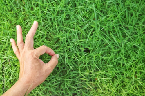 male hand in okay gesture on green grass background © Taweechai