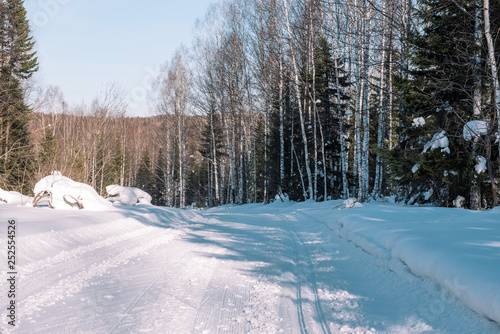 Ski trail in the forest. Traasa in the winter forest. The road for walking through the winter forest. Taiga in the winter. Tracks from the snowcat.