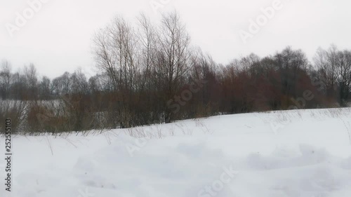 Wallpaper Mural Snowstorm in winter field Torontodigital.ca