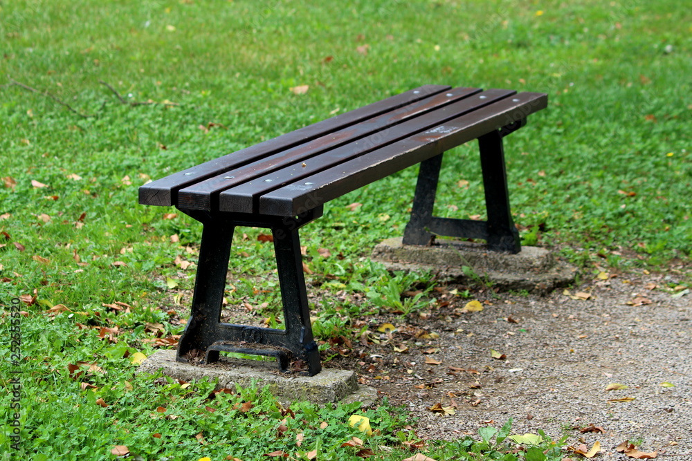 Wooden public bench mounted with metal screws on black wrought iron  supports on concrete foundation surrounded with green grass and fallen  leaves on warm sunny day Stock Photo | Adobe Stock
