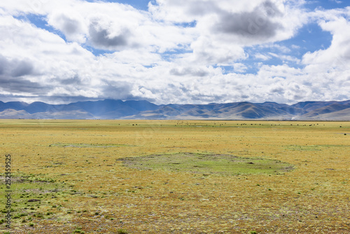 View of grass filed on the east side of the Nyenchen Tanglha Mountains range in Damxung(Dangxiaong) County, Lhasa, Tibet, China. photo