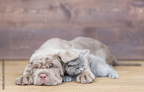 Sleepin puppy hugging tiny kitten on wooden background