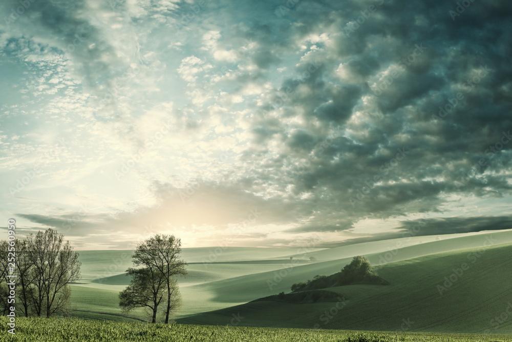 Summer landscape with sunrise and green fields Summer landscape with sunrise and green fields