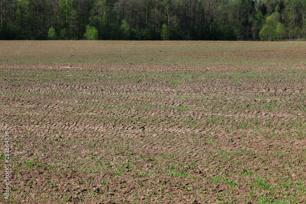 Preparing agricultural soil for sowing Preparing agricultural soil for sowing