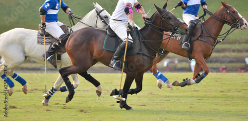polo pony running in polo match.