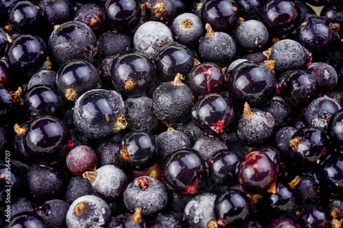 Frozen black currant berries