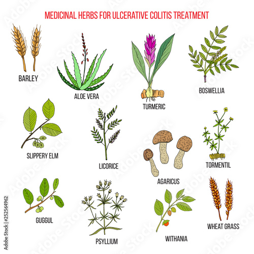 Best medicinal herbs to treat ulcerative colitis