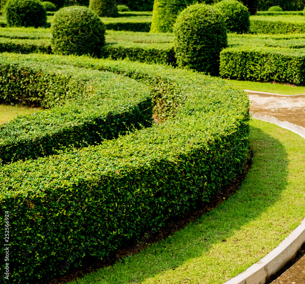 Luxury landscape design of the tropical garden. Beautiful view of tropical landscape Luxury landscape design of the tropical garden. Beautiful view of tropical landscape