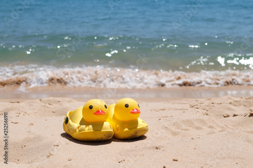 Duck slippers on the beach sand