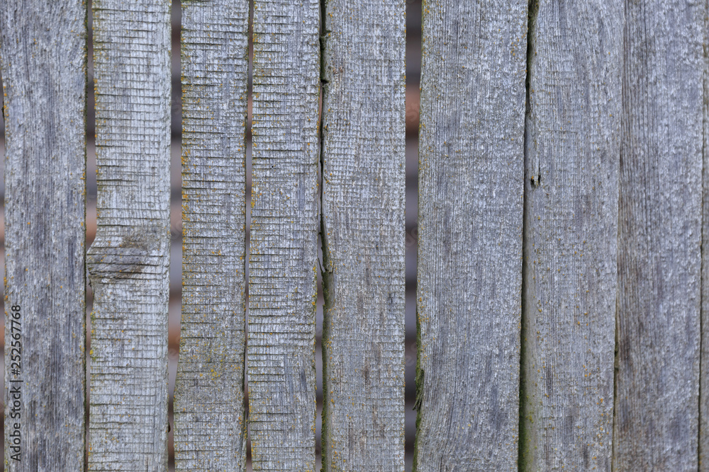 A focused photo of seperate isolated logs of a wooden fence in a village A focused photo of seperate isolated logs of a wooden fence in a village