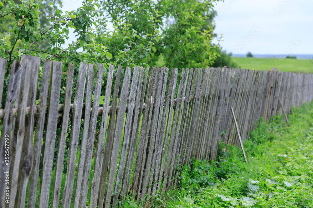 A long wooden fence with holes between logs in standing in a village A long wooden fence with holes between logs in standing in a village