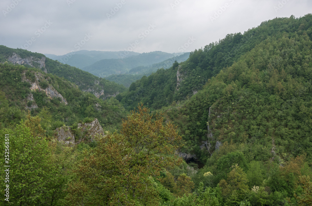 View of Katusnica river canyon near Gostilje waterfalls in Zlatibor region, Serbia.