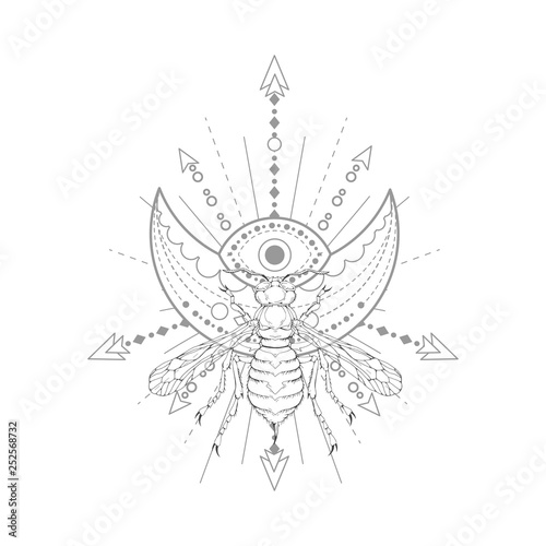 Vector illustration with hand drawn wasp and Sacred symbol on white background. Abstract mystic sign.