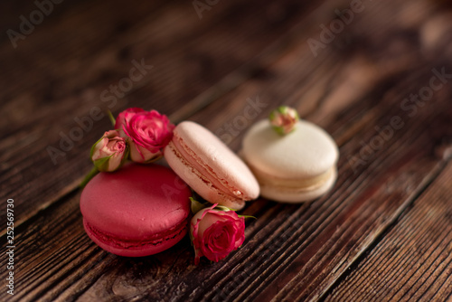 macaroon on a dark background