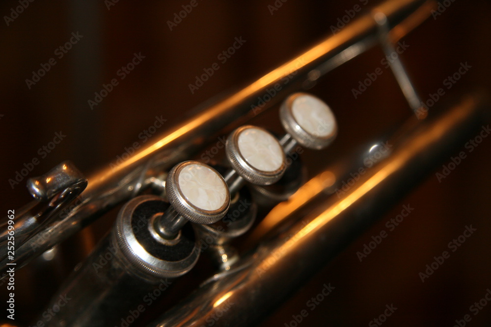 Naklejka premium The trumpet valves on the brown background