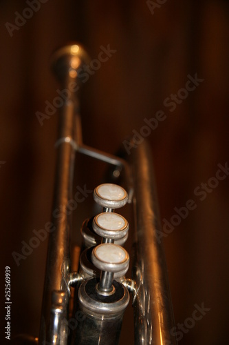 The trumpet valves on the brown background