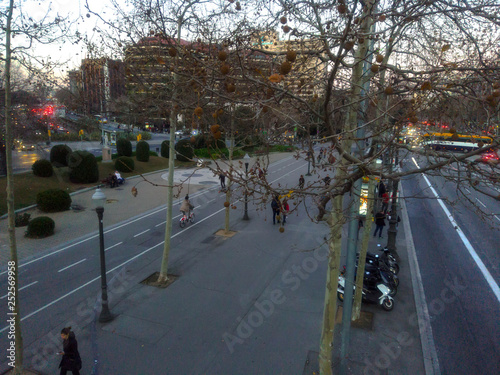 Barcelona. Urban street in the city. Aerial photo. Spain