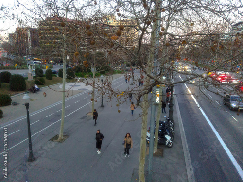 Barcelona. Urban street in the city. Aerial photo. Spain photo