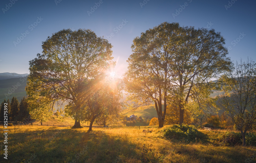 Fototapeta premium Evening in a alpine carpathian valley