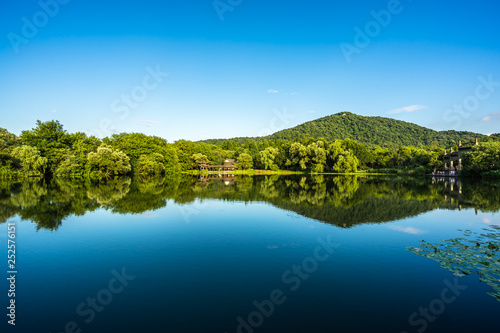 lake in deep forest