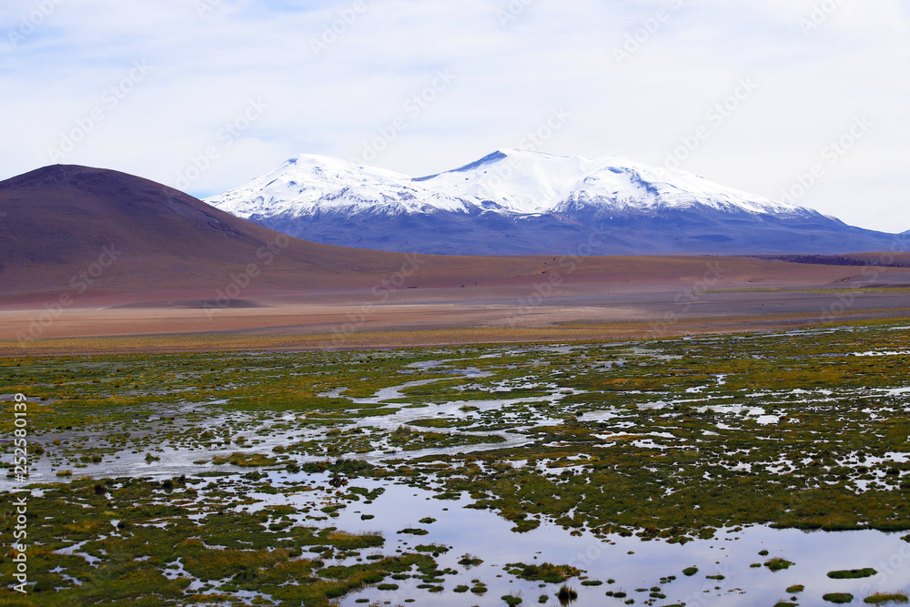 The Rio Putana valley in the highlands of the Atacama Desert along the road to El Tatio Geysers, with the snowy volcanoes of the Andes in the background, Chile
