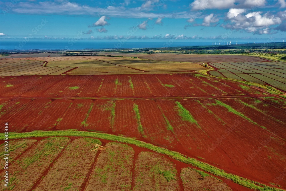 Obraz premium Oahu - Hawaii