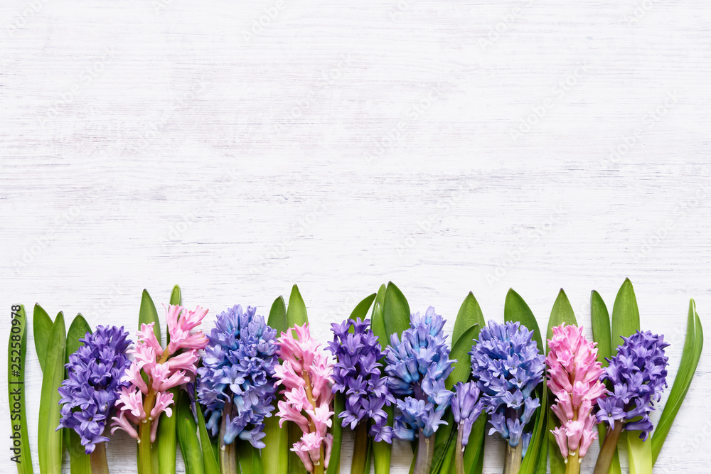 Hyacinth flowers border on white wooden background. Top view, copy space.