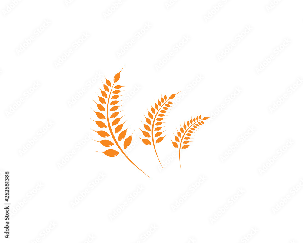 Agriculture wheat Logo Template vector icon design Agriculture wheat Logo Template vector icon design