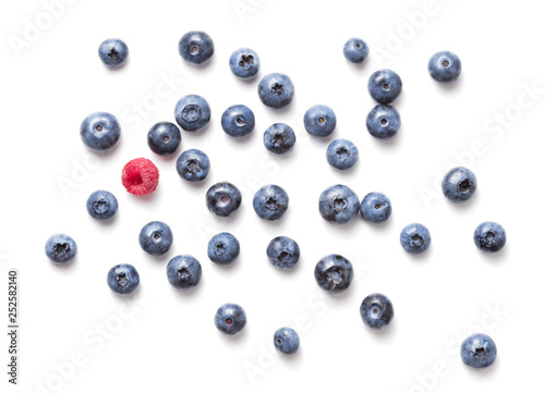 top view of blueberry fruits isolated on white background