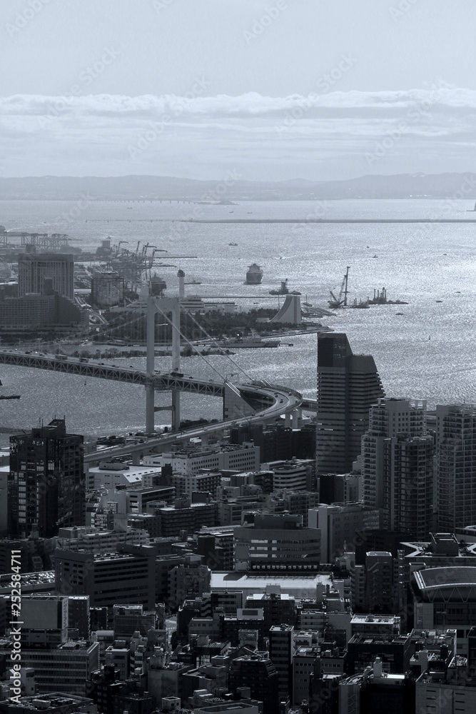Aerial view of Tokyo Bay Area Aerial view of Tokyo Bay Area