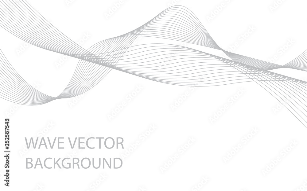 Fototapeta Abstract gray wave lines on white background. Can be used presentation, poster. Vector illustration.