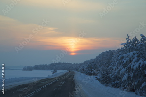 Winter Forest, Russia, Siberia