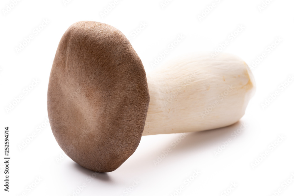King oyster mushroom on white background. King oyster mushroom on white background.