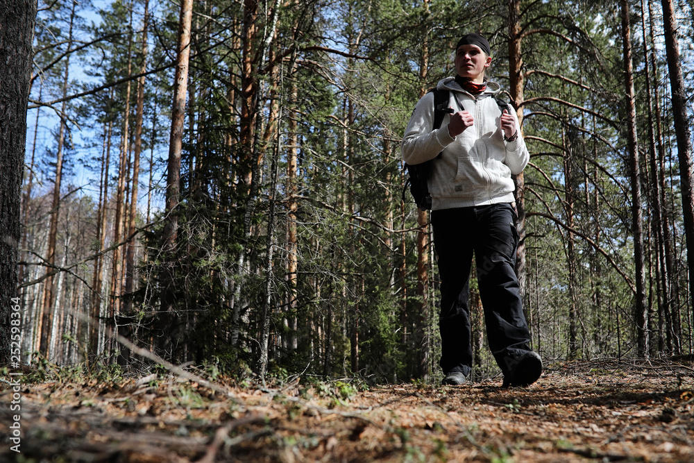 A man is a tourist in a pine forest with a backpack. A hiking trip through the forest. Pine reserve for tourist walks. A young man a hike in the spring.