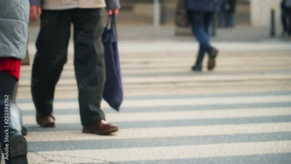 movement of people and cars in the megalopolis movement of people and cars in the megalopolis