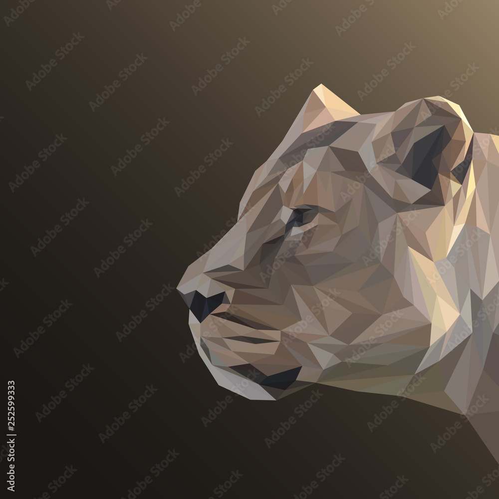 Lioness low poly design. Triangle vector illustration.
