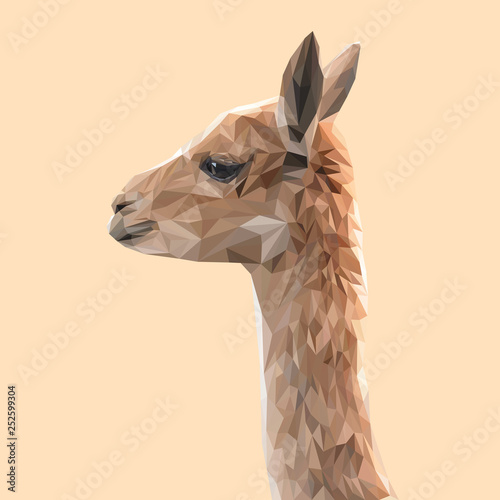 Llama low poly design. Triangle vector illustration.
