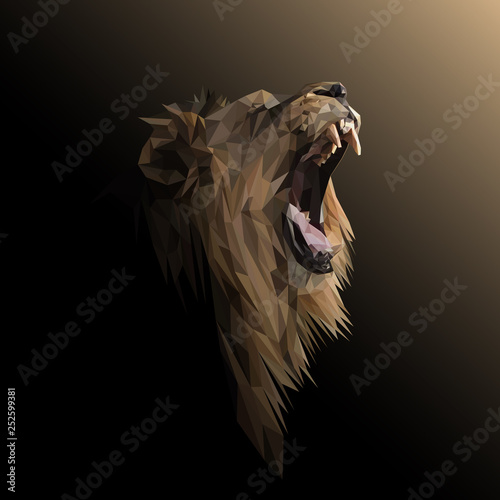 Lion low poly design. Triangle vector illustration.