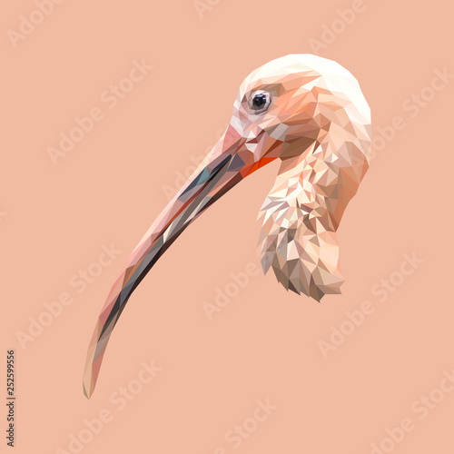 Ibis bird low poly design. Triangle vector illustration.