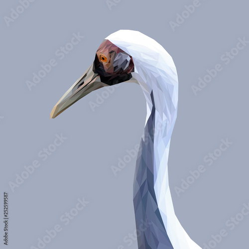 Water bird animal low poly design. Triangle vector illustration.