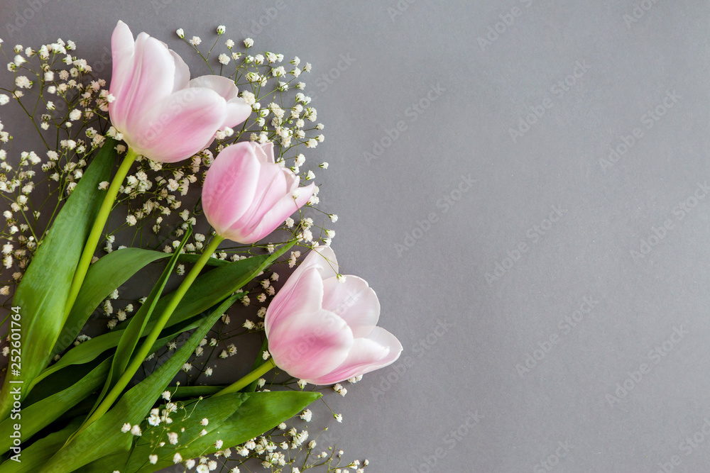 bouquet of tulips lies on a gray background bouquet of tulips lies on a gray background