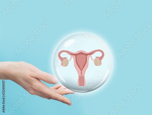 female hand holding a virtual uterus and ovaries model. Female reproductive system photo