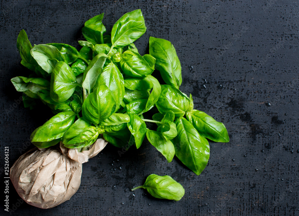 Fototapeta premium bouquet of fresh basil on a black background negative space