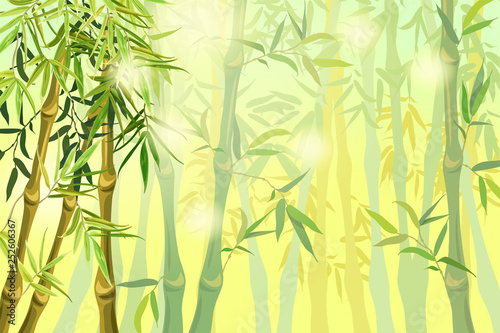 Fototapeta Naklejka Na Ścianę i Meble -  Background green bamboo stems and leaves. Template landscape summer sunny day. Vector illustration.