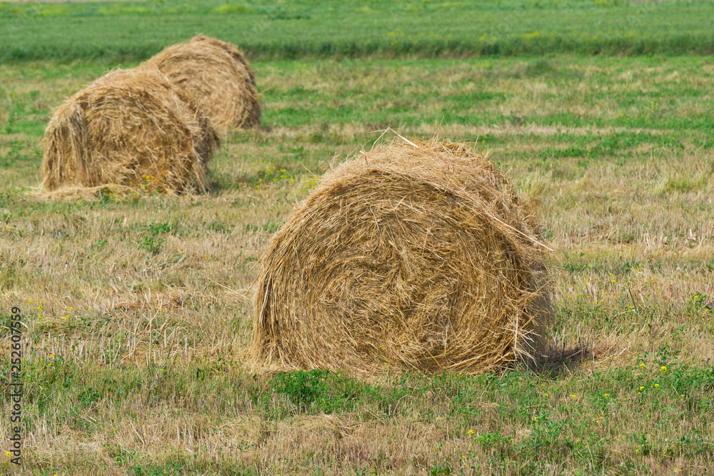 Natural landscape with large haystacks Natural landscape with large haystacks