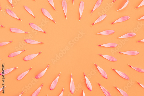 Flowers composition oh pastel pink and yellow background with spring and summ...