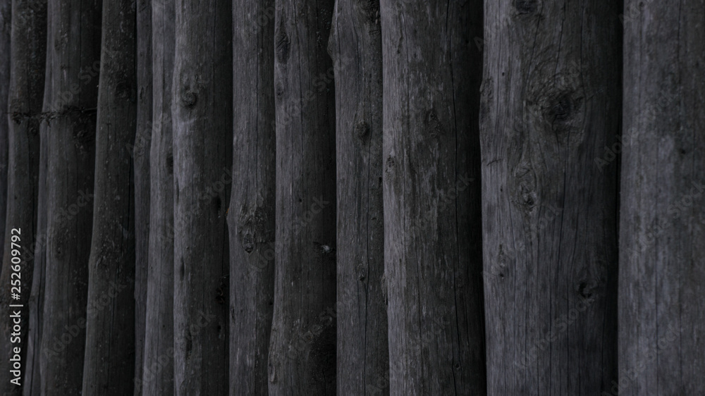 Fototapeta premium wall from tree logs background texture vertical