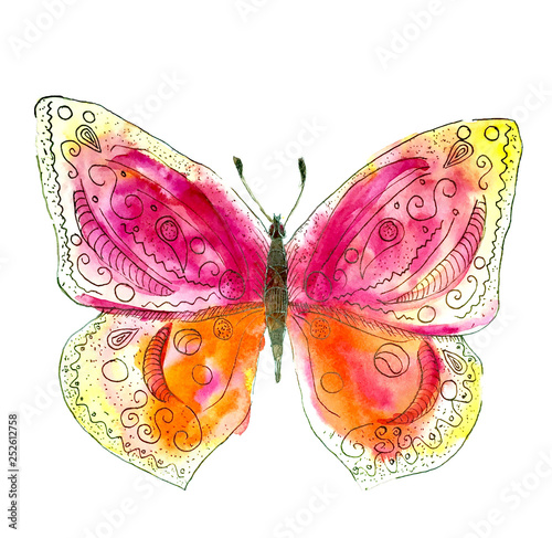 pink and yellow butterfly on white background