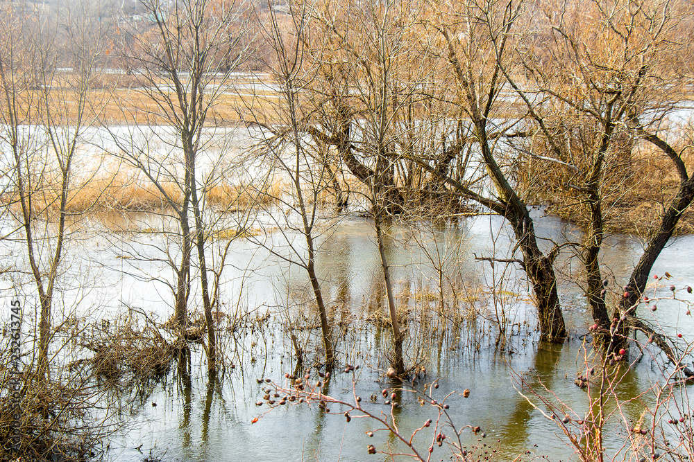 The river overflowed its banks after the snow melted. The river overflowed its banks after the snow melted.